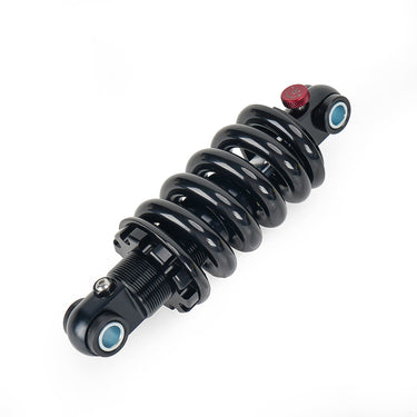 Adjustable Hydraulic Suspension for Daytona